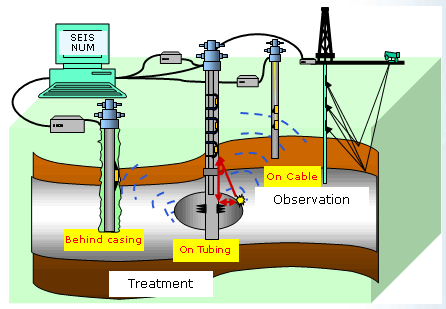 Permanent Downhole Gauges